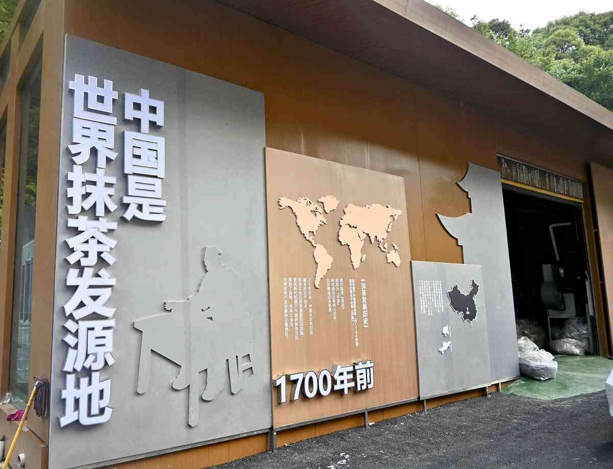 世界的ブームの抹茶「中国が発祥の地」とアピール、世界生産7割を占め「日本を凌駕することを願う」