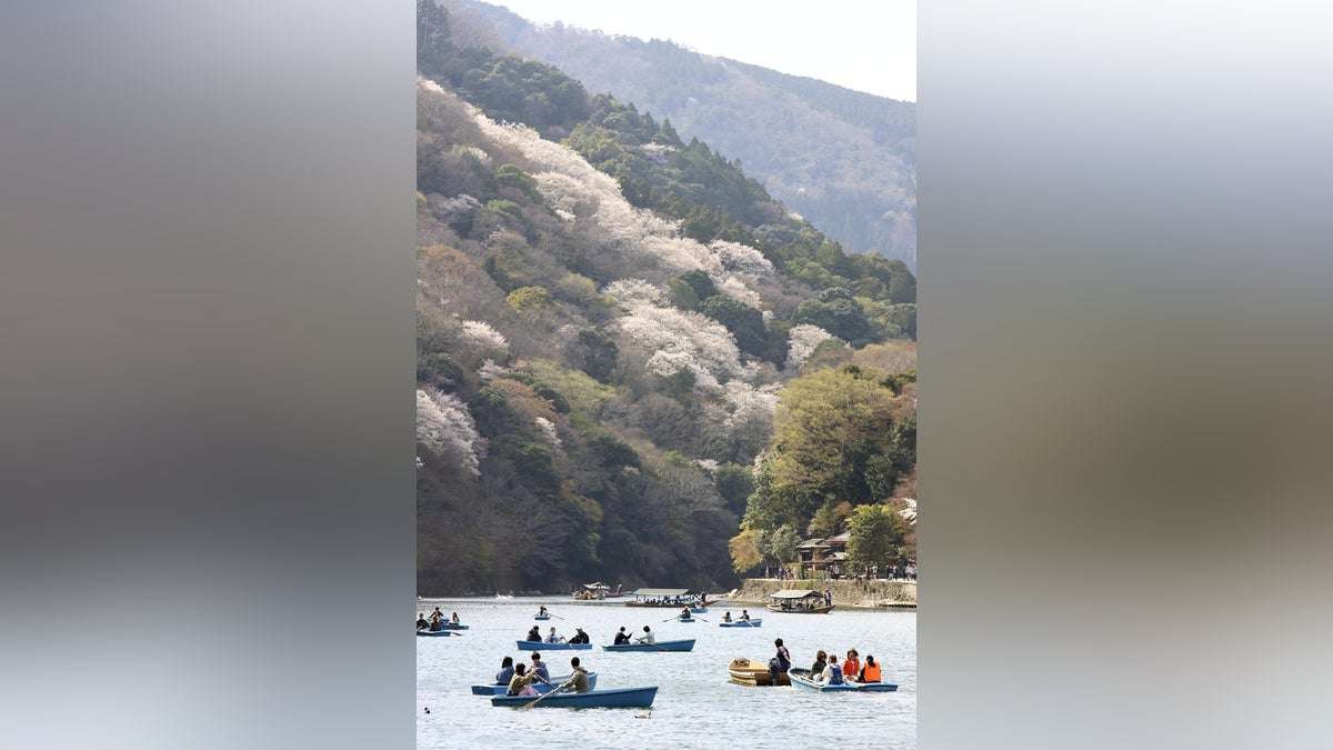 京都・嵐山周辺でクマ目撃多発…市が初の対策会議、注意喚起の看板は外国人向け「多言語化」対応 : 読売新聞