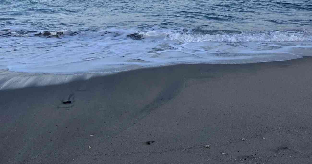 廃止された「辺野古コース」はなぜ復活したのか？ボート事故遺族が指摘「基地反対派の意見のみ」「教育の中立性から乖離」 | 辺野古ボート事故・遺族の声 | ダイヤモンド・オンライン