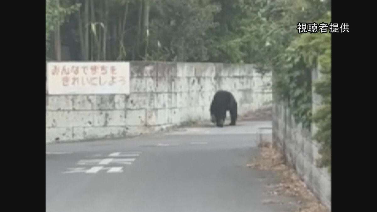 8日宇都宮市の全ての市立小中学校が臨時休校　夜中も相次ぐクマの目撃　警察や猟友会がパトロールで注意呼びかけ | TBS NEWS DIG