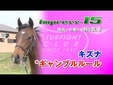 Impress15（牡1歳　キズナ/*ギャンブルルール）の2026年1歳馬募集・募集動画映像＜立ち/歩様/放牧風景/生産者インタビュー＞
