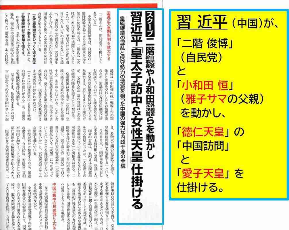 「女性だから天皇になれないというのは男女平等を掲げる憲法の精神に反する」共産党が安定的な皇位継承をめぐる「取りまとめ案」に反対