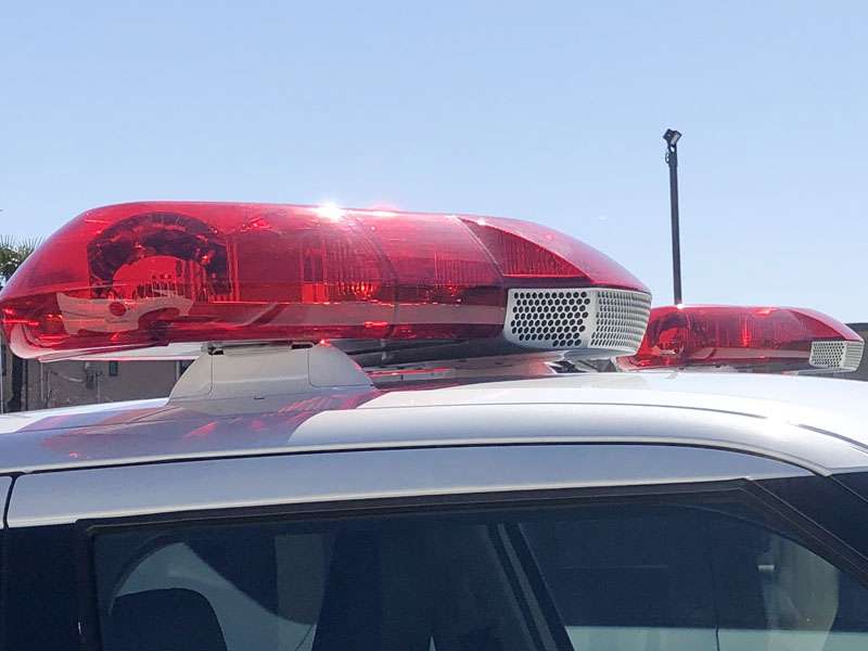 女児死亡、30歳母も死亡…車で横たわった状態　女児は後部座席であおむけ、母は運転席で背もたれを倒していた　2人暮らしの親子　行方不明になり親族が2人を発見、外傷なし　女児は小学生で10歳｜埼玉新聞｜埼玉の最新ニュース・スポーツ・地域の話題
