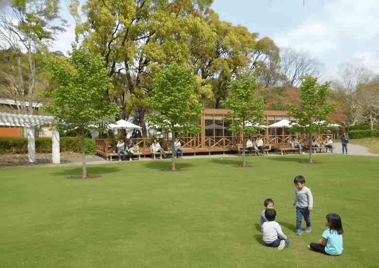 一部の猛烈な反対でスタバが“出店辞退” ただ市民の約8割がカフェを望み市が設置を決断 規模は当初の計画よりも縮小 公園の再整備案 「木を切るな!」から5年 紆余曲折の末に