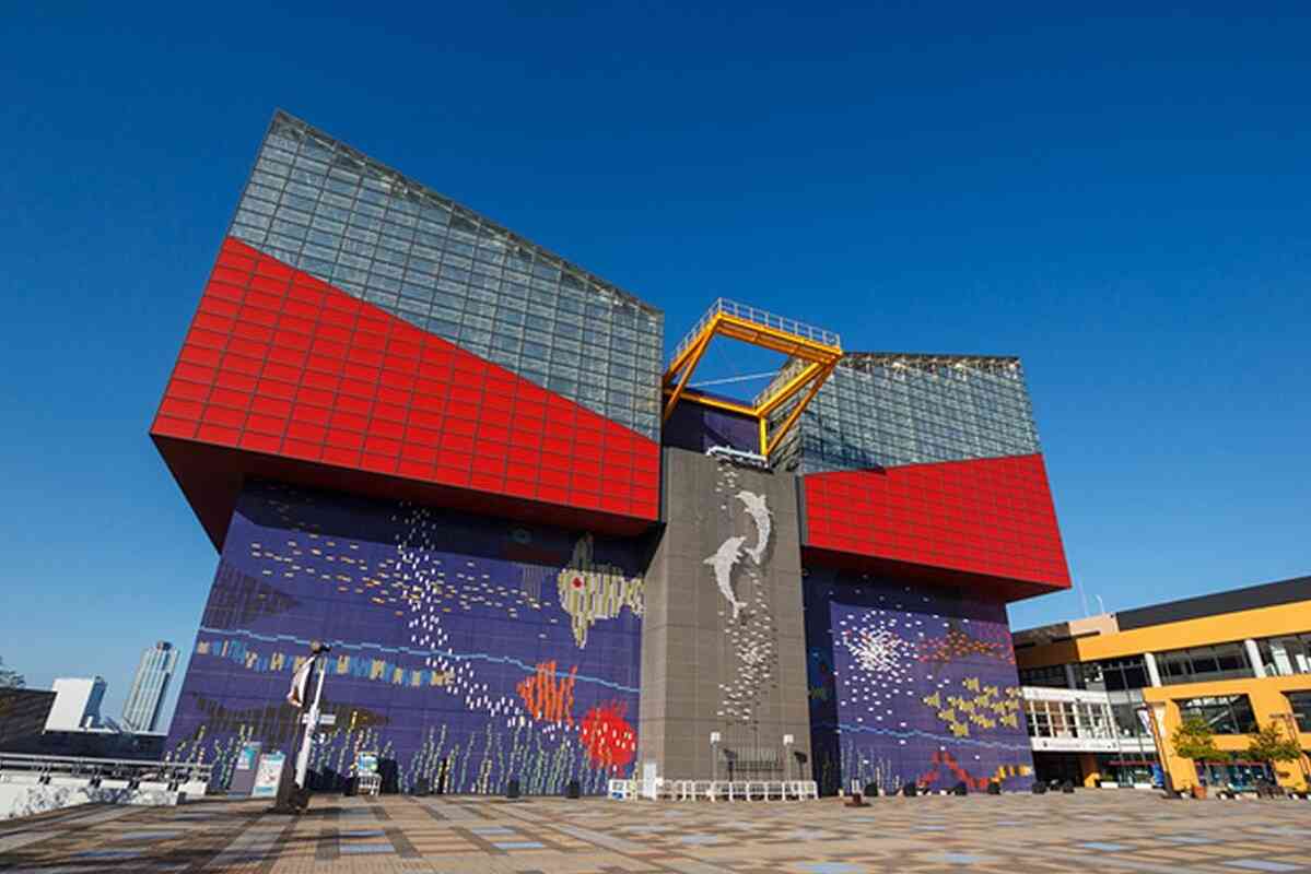 世界最大級の水族館である海遊館「再入場禁止」に賛否も「新たな施策」 (2026年6月7日掲載) - ライブドアニュース