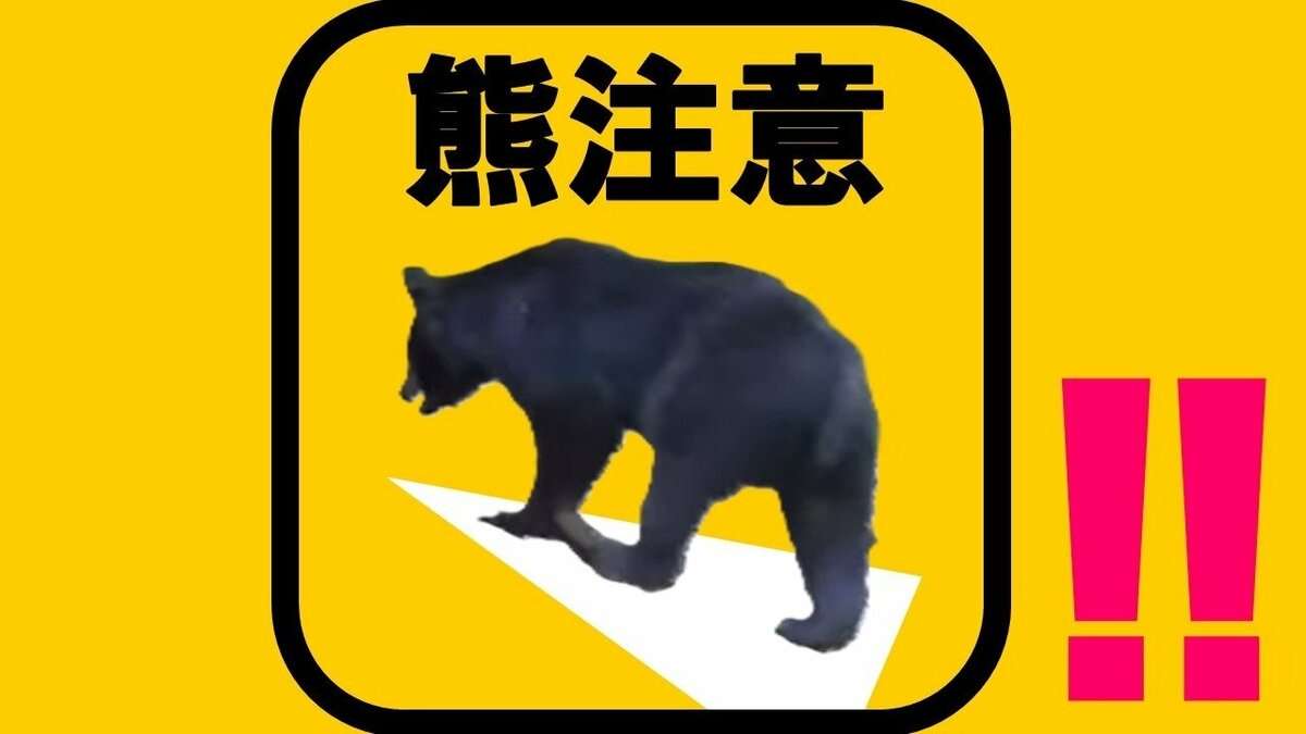 【速報】京都市右京区の山中で猟友会の40代男性がツキノワグマに右腕を噛まれ７針縫う大ケガ 京都府が注意呼びかけ | MBSニュース | 関西の最新ニュースを分かりやすく。 (1ページ)