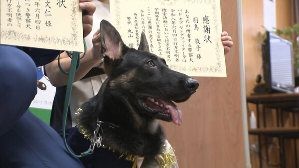 警察犬「おはぎ」初仕事でお手柄…行方不明の80代女性を発見、夜の街を30分追跡　普段は甘えん坊　家族のように育てた指導士も笑顔