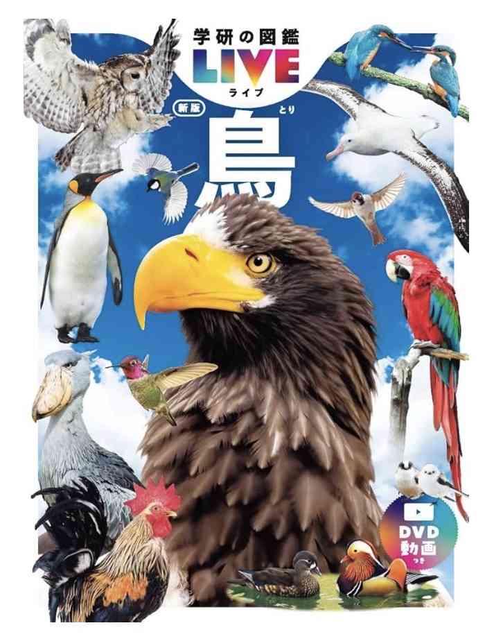 子供と図鑑について語るトピ