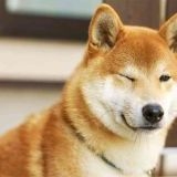 緊急事態条項で日本から人権なくなることに危機感抱いてる人徴兵とかワクチンの強... | ガールズちゃんねる - Girls Channel -
