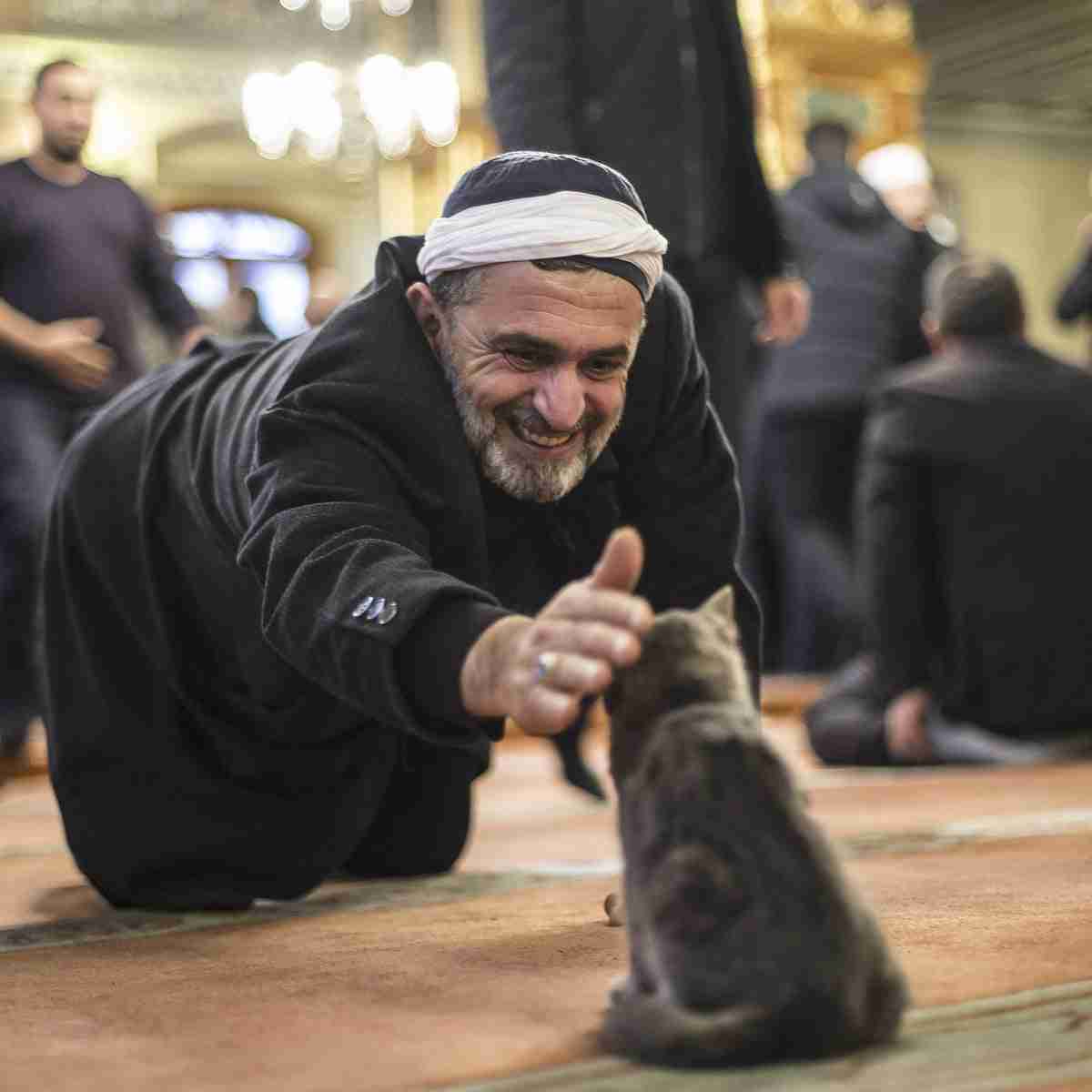 トルコについて知っていること