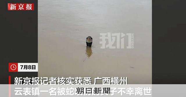 中国で洪水、養殖場からヘビ900匹近く逃げ出す　かまれた女性死亡：朝日新聞