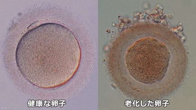 なぜアラサーを超えると歳下と付き合う人が増えるのでしょうか