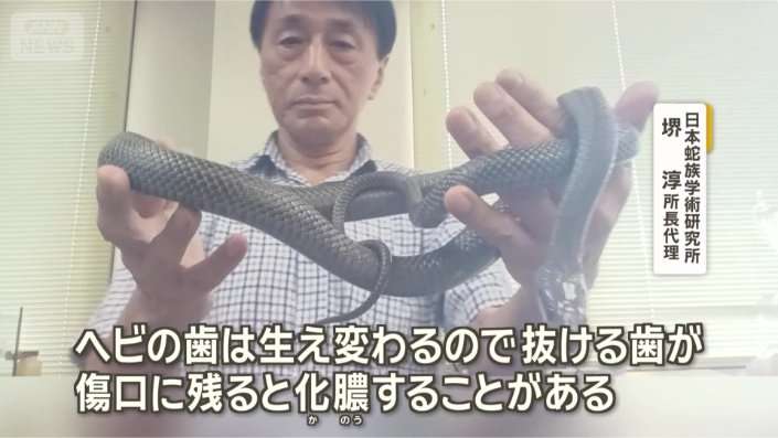 東京・中目黒でヘビ目撃多数 至近距離で鉢合わせ かまれる恐れも