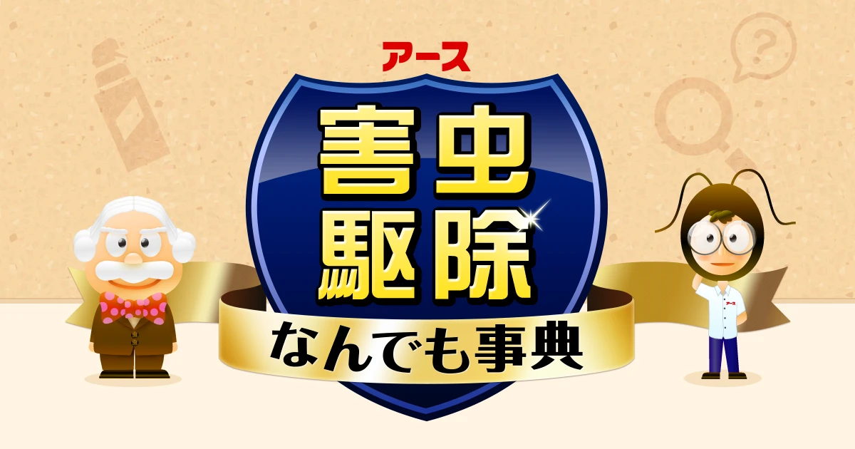 クモがたくさん出る家には、ある“共通点”があった？｜クモ｜害虫なるほど知恵袋