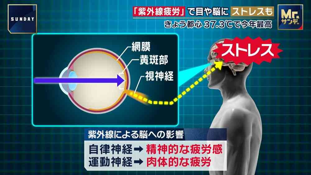 熱中症予防について