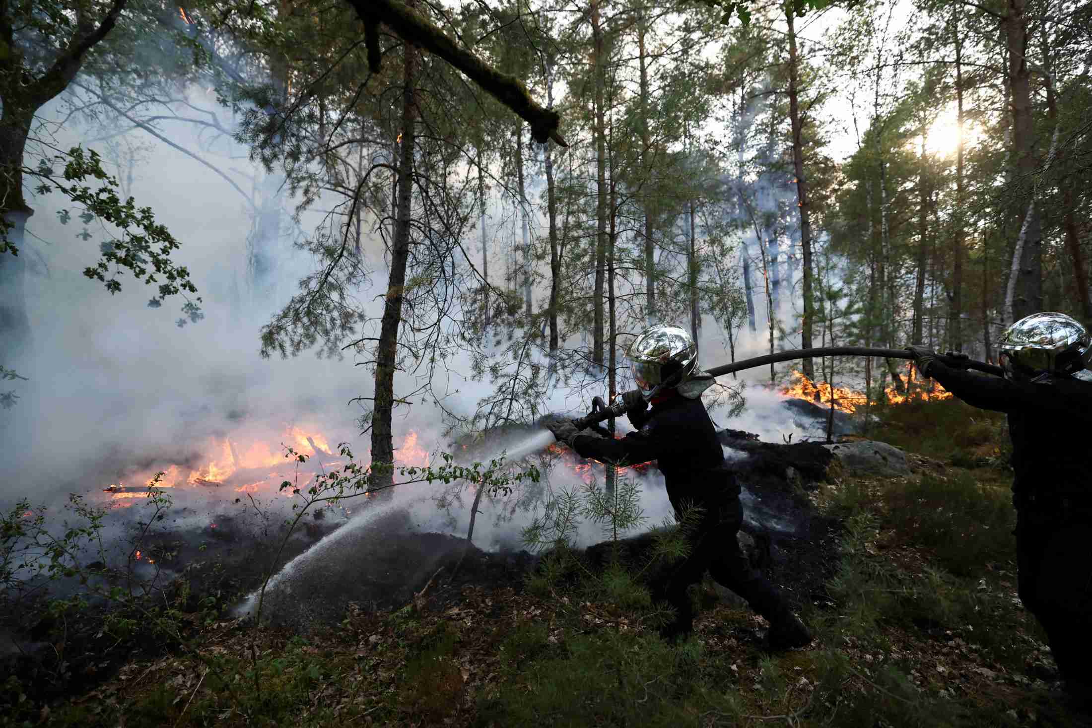 熱波続くパリ近郊で山火事、ほぼ鎮火　当局は放火の可能性示唆（ロイター） - Yahoo!ニュース