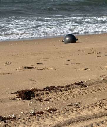 浜辺で見つかった謎の球体、地球に再突入した宇宙ごみか 豪州