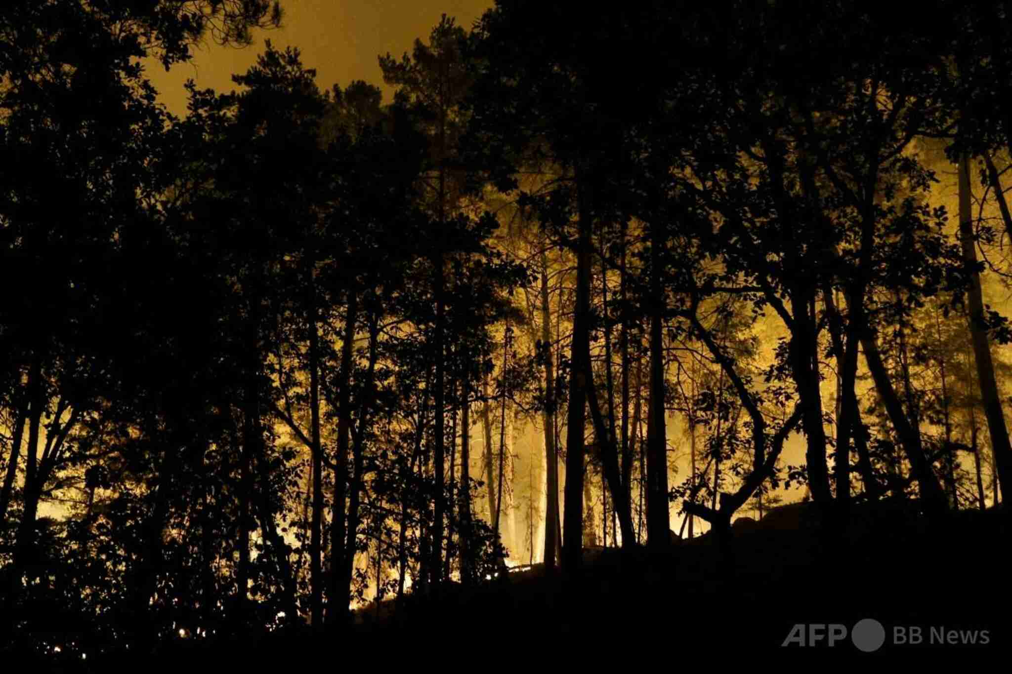 パリ郊外フォンテーヌブローの森で大規模火災発生（ＡＦＰ＝時事） - Yahoo!ニュース