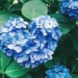 バイトの面接行ったんだけど、夜のバイトだから？初めからやる気ないオジサン出て... | ガールズちゃんねる - Girls Channel -