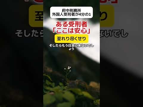 【至れり尽くせり】府中刑務所、受刑者の4人に1人が外国人 #shorts