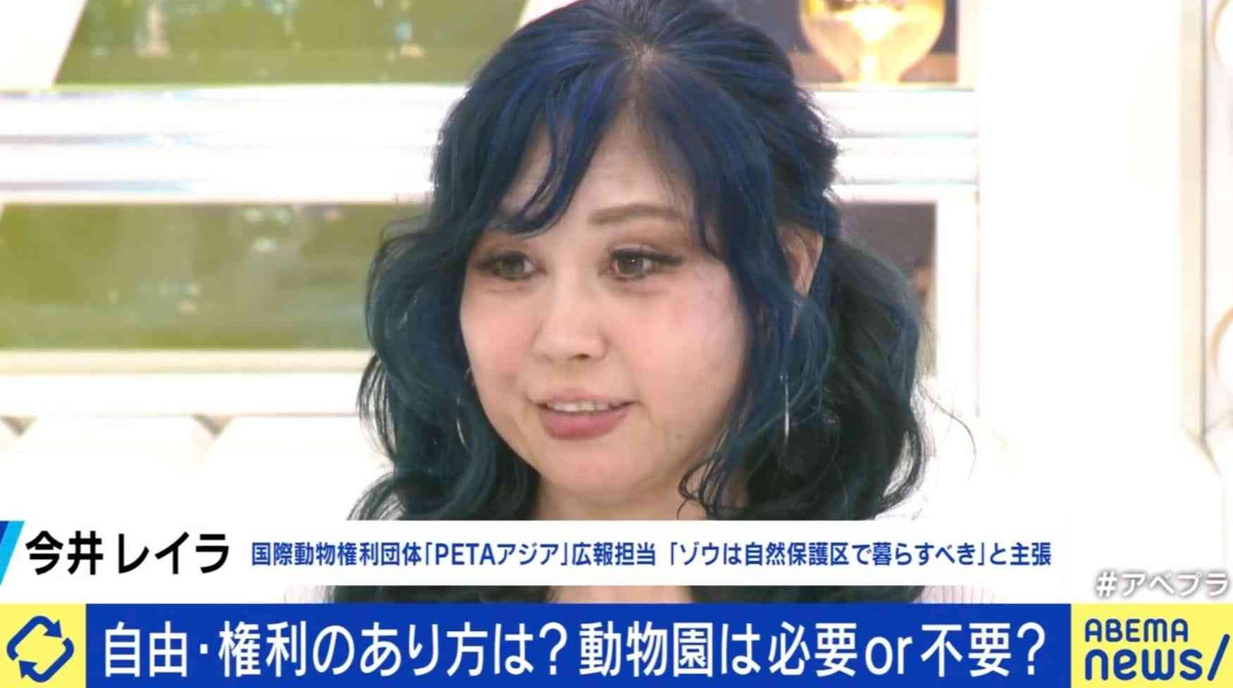 動物園は必要or不要？ゾウ受け入れに現地で返還の声…動物福祉のあり方を議論「相手の自由を奪って楽しんでいる。それは暴力だ」