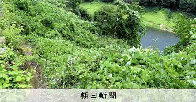奈良の2女性遺体遺棄事件、「車で運び1人で遺棄」容疑の男が供述：朝日新聞
