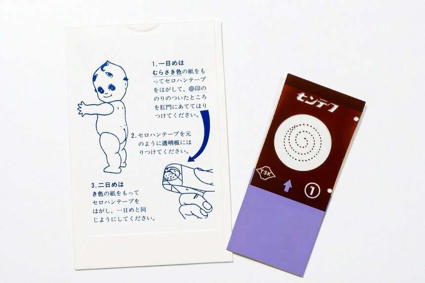 「おしりぺったん」はもうやらない？　ぎょう虫検査が消えた理由と、一度に1万個の卵を産む驚くべき生態