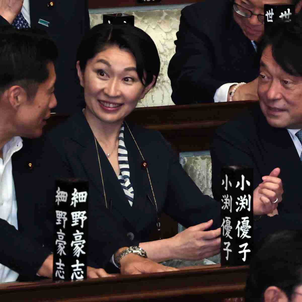 【自民党内に混乱】小渕優子元選対委員長の“税調インナー辞任問題”…「聖域」にも介入の高市政権の強権ぶりにくすぶる反発（女性自身） - Yahoo!ニュース