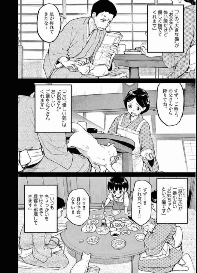 野良の子猫を保護しました