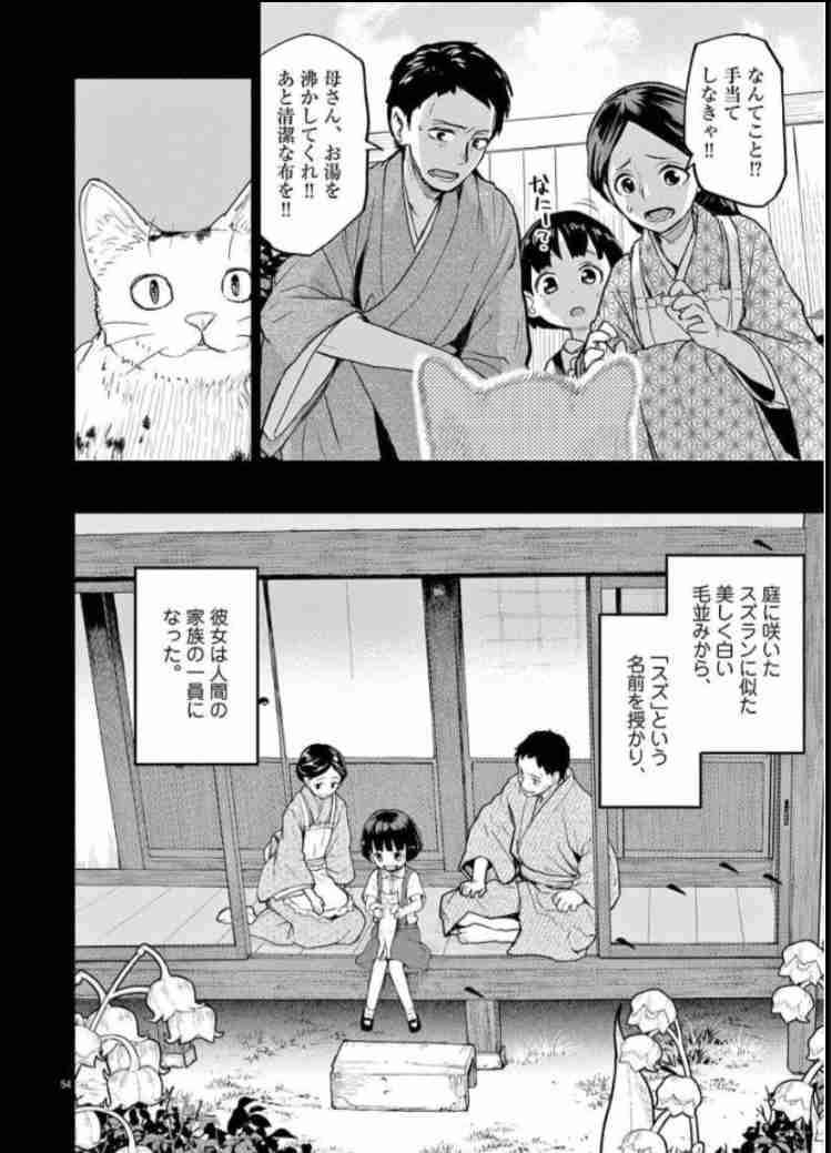 野良の子猫を保護しました