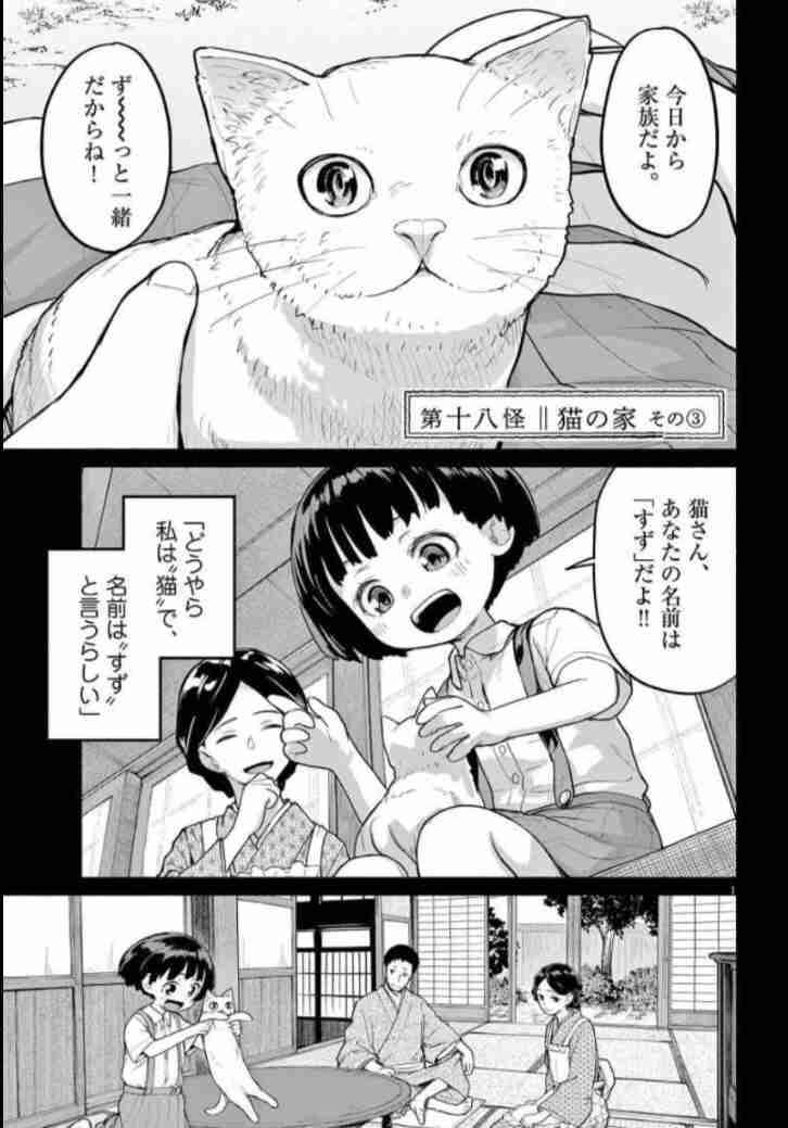 野良の子猫を保護しました