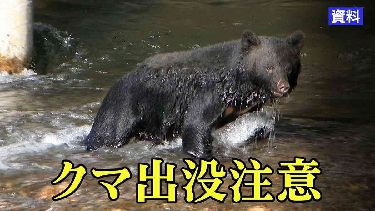 浴室から出たら台所で食べ物荒らす成獣1頭を発見　けが人なし　4時間前には350m離れた別の住宅にもクマが　岩手・雫石町 | IBC NEWS | IBC岩手放送