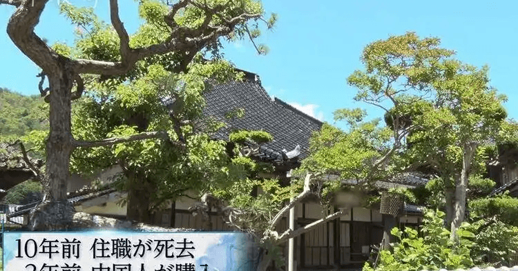 【直撃】ニッポンの寺を中国人が買収…切実な裏事情：ガイアの夜明け (テレ東プラス)