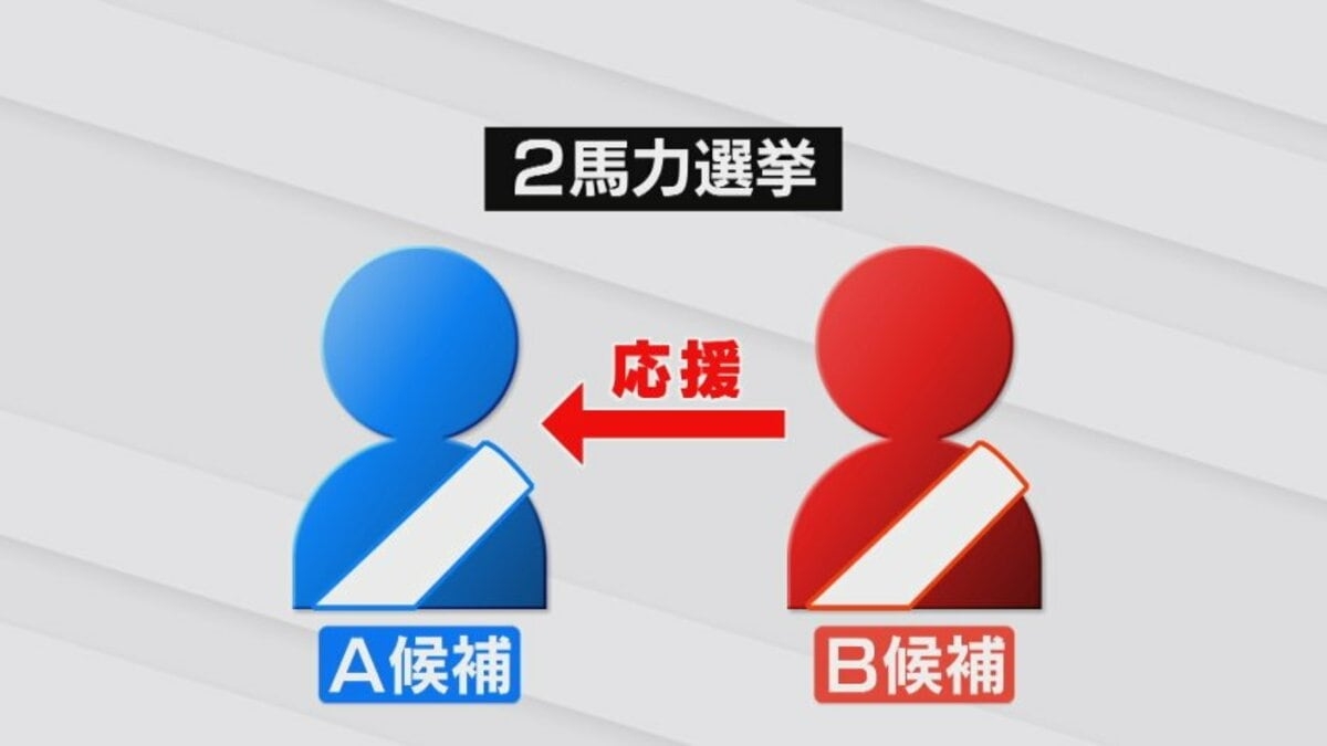 「2馬力選挙」何が問題？ 公費で賄う選挙費用 “実質2倍” 使えちゃうから…兵庫県知事選で問題に【選挙のハテナなるほどゼミ②】 | TBS NEWS DIG (3ページ)