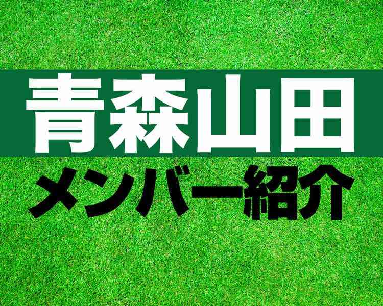 青森山田高校サッカー部 メンバー紹介！【2026年インターハイ メンバー更新！】：ヤンサカ