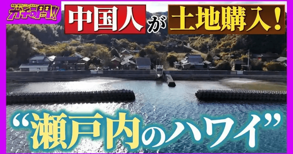 【買われる日本】上海在住の中国人が土地購入！定住者たった１人の“瀬戸内のハワイ”　「外国人による土地取得」で揺れる日本の現状【ガチの門】 (MBSニュース)