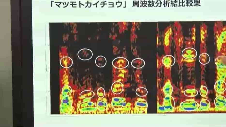 【続報】音声データ「信ぴょう性乏しい」一転「会話したんでしょう」と認める 記者から「AI生成ではない」と指摘受け 福岡県議会の中尾副議長