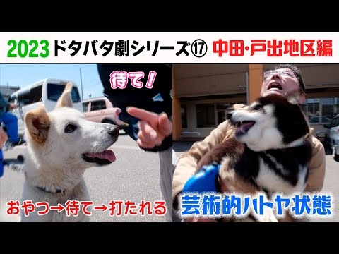 2023狂犬病予防注射会場のドタバタ劇⑰ 高岡市・中田＆戸出地区編