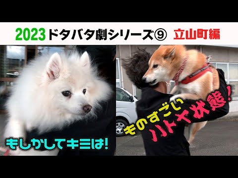 2023狂犬病予防注射会場のドタバタ劇⑨ 立山町編