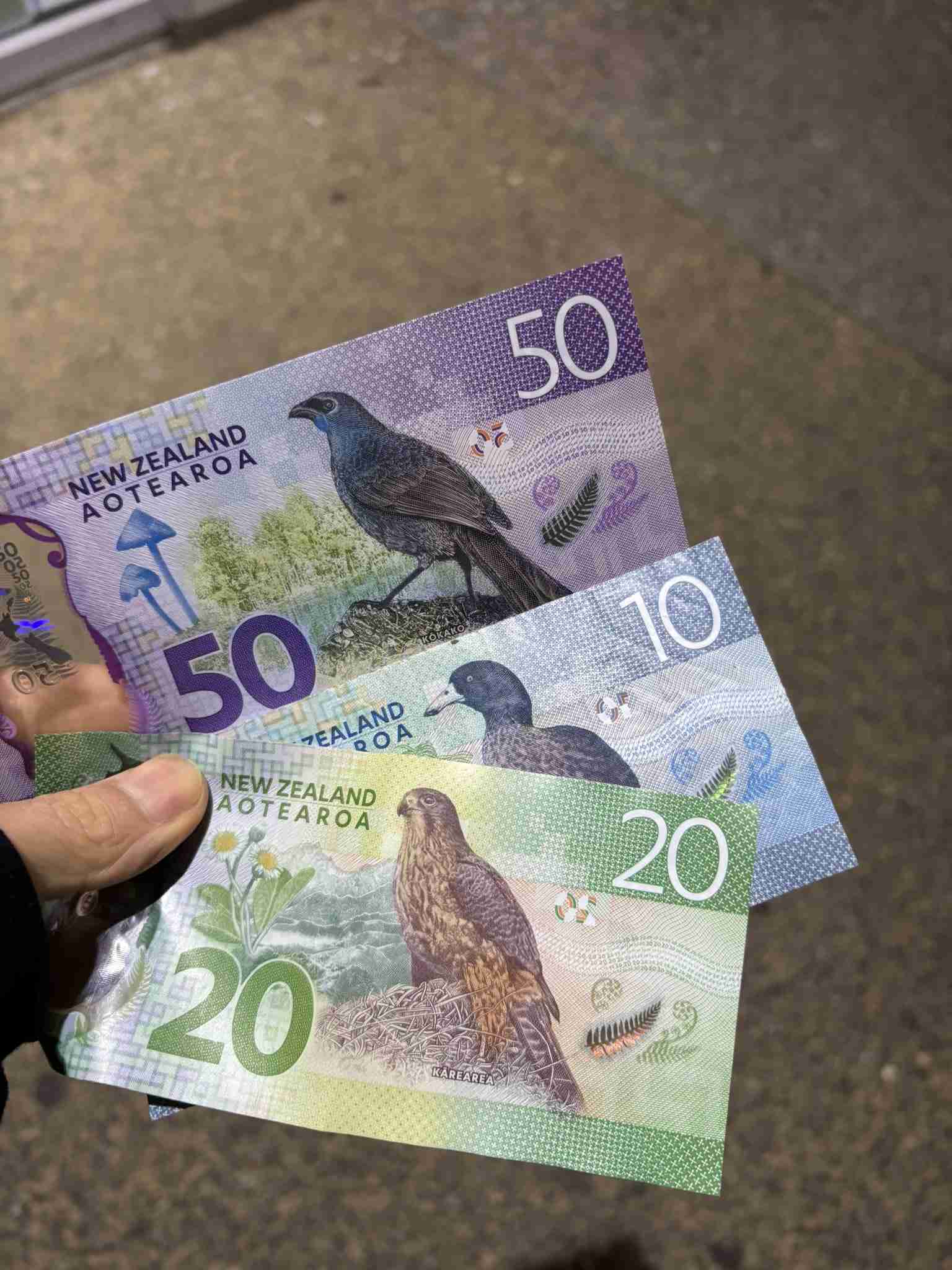 いろんな国のお金がみたい💴！