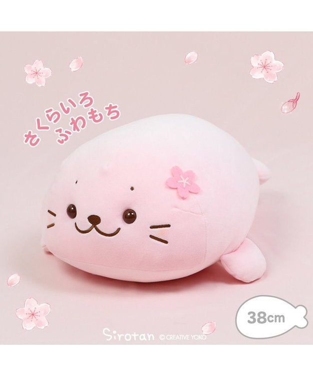 しろたん好きな人