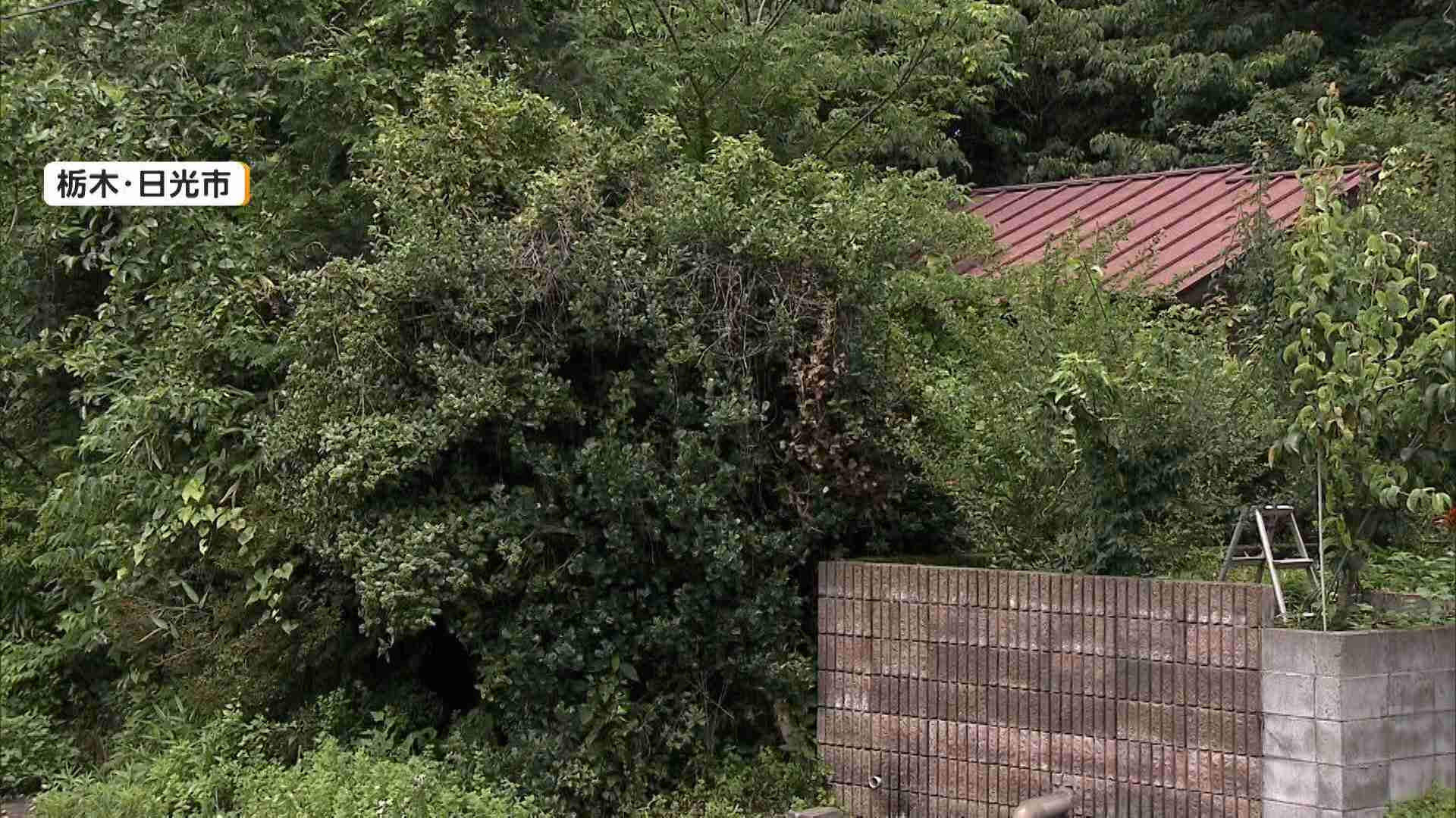 白骨化した遺体放置…“ゴミ屋敷”の住人（56）逮捕　「親子と数年連絡取れない」親族の通報で発覚　栃木・日光市