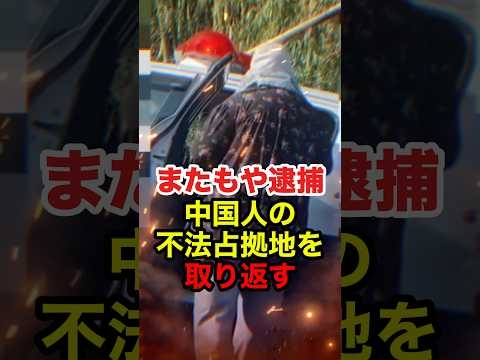 ㊗️130万再生!!【石川慎之助】ヤミ畑の中国人が現行犯逮捕！不法占拠に不法投棄にやりたい放題 #石川慎之助 #令和タケちゃん #後藤たけし #外国人問題 #迷惑外国人 #反日 #政治 #shorts