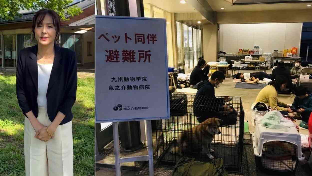 【 熊本地震 】杉本彩　熊本・竜之介動物病院の現状を伝える〝必要な支援が生じた際は行動したい〟家庭の犬猫たちが避難（TBS NEWS DIG Powered by JNN） - Yahoo!ニュース