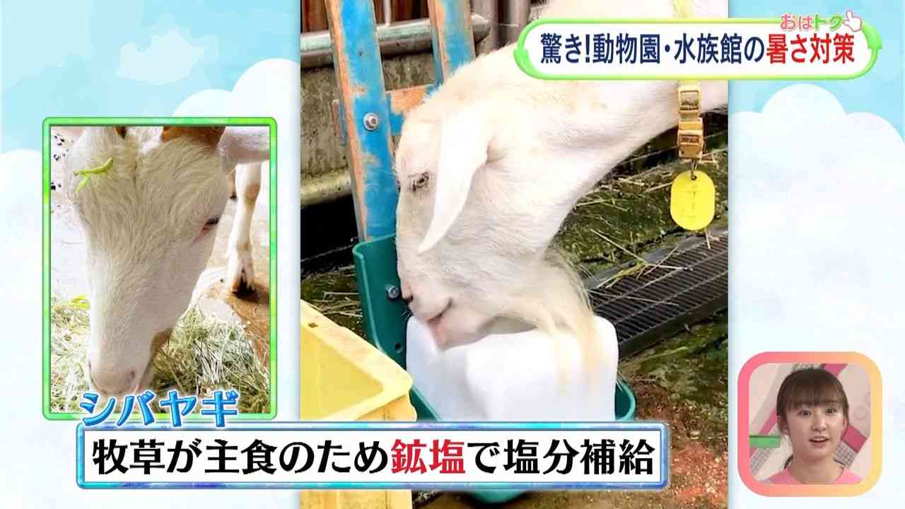 猛暑エリア東海や関東も　猛暑日地点は今年初100超え　今日7月14日(火)の天気