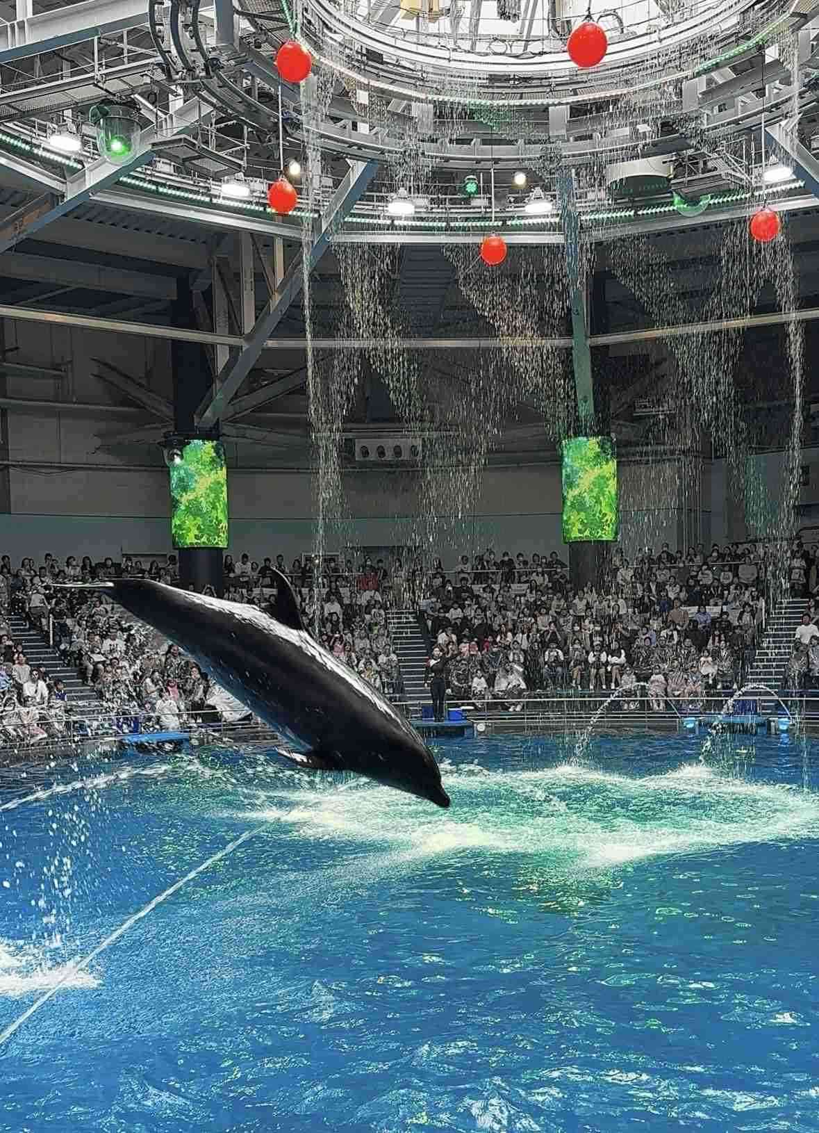 子供が喜んでくれた水族館【全国版】