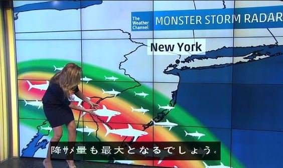 好きな天気はなんですか?