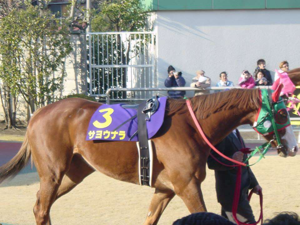 【ネタ】愚痴りたいこと・悲しいことを競走馬の名前にしてみる