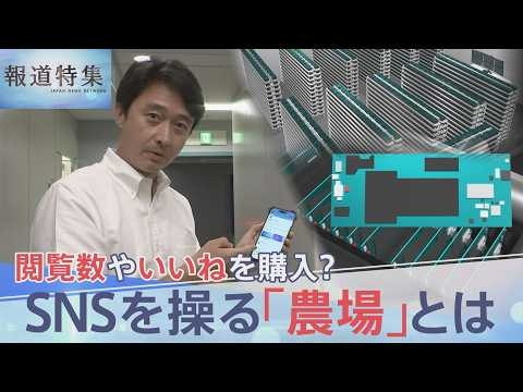“人為的にバズらせる” SNS操る「農場」ビジネスを取材　「テスト」と書かれただけの投稿が6分で100万回表示… 選挙で悪用の懸念も【報道特集】｜TBS NEWS DIG
