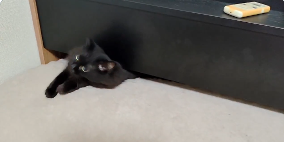 黒猫が“完全に”液体化...。極細のスキマから現れる様子に「液体どころか煙じゃねーか！」と驚きの声